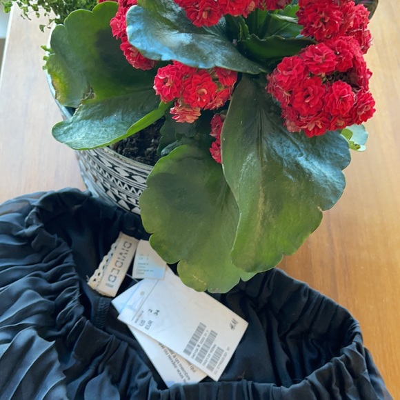 H n M knee length pleated chiffon skirt. - Picture 4 of 4